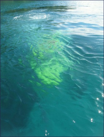 Early stage of descent of the submarine to no more tahn 12 metres depth