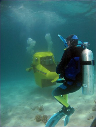 Safety diver accompanies the entire dive