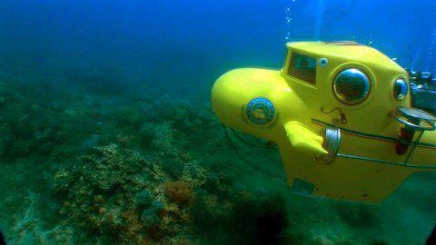 Gliding over the reefs of Fitzroy Island